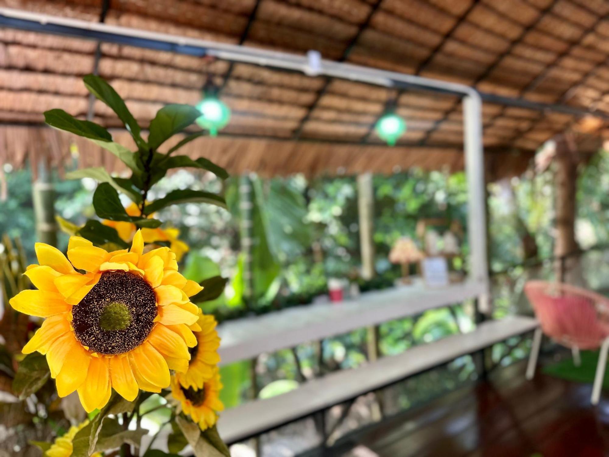 Nua Tone Resort Bang Tao & Cafe Luaran gambar