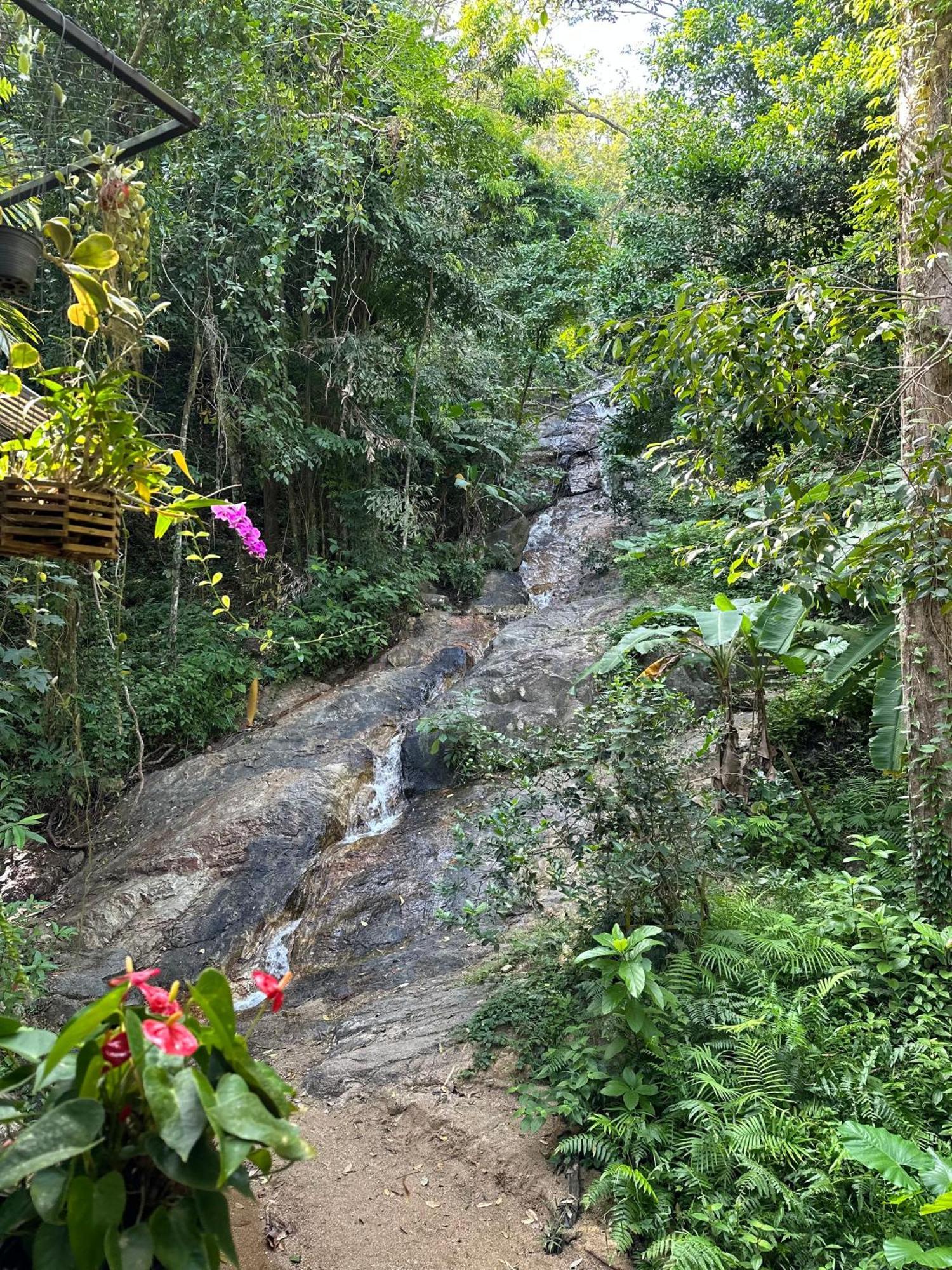 Nua Tone Resort Bang Tao & Cafe Luaran gambar